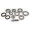 Timken Contains Bearings, Seal And Other Components Needed To Rebuild The Differential DRK222F - alternate 1